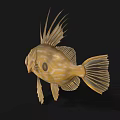 Brown Spotted Aquatic Fish with Long Dorsal Fins Yellow Eyes Open Mouth Against Black Background