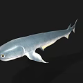 Detailed Gray Shark With Yellow Fins Smooth Body And Lifelike Aquatic Animal Eyes