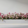 Blooming Pink and White Flowers in White Planter Against Light Colored Wall