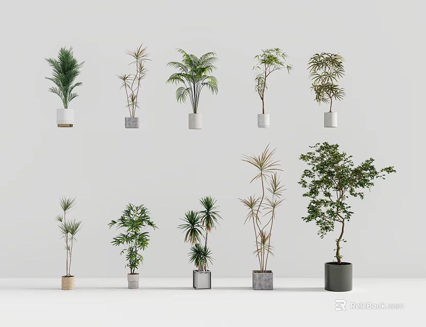 Various Bonsai Potted Plants With Different Leaf Shapes In Decorative Planters 3d model