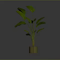 Lush Green Banana Leaf Plant In Minimalist Brown Pot With Broad Foliage