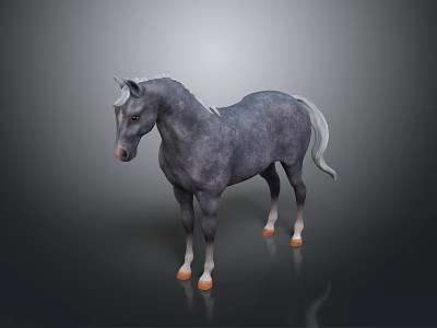 Gray Horse With White Mane Tail And Legs Standing On Gray Background With Reflection 3d model