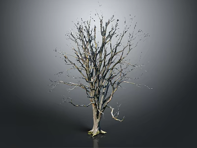 Bare Leafless Tree With Visible Trunk And Branches On Gray Background 3d model
