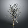 Bare Leafless Tree With Visible Trunk And Branches On Gray Background