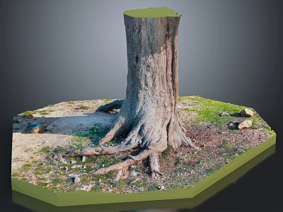 Tree Stump With Exposed Roots And Grassy Surroundings With Scattered Stones 3d model