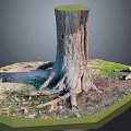 Tree Stump With Exposed Roots And Grassy Surroundings With Scattered Stones