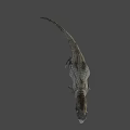 Realistic Gray Dinosaur 3D Model With Scaly Skin And Sharp Claws