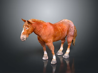 Brown Horse With Light Mane Standing On Dark Reflective Surface With White Hooves 3d model