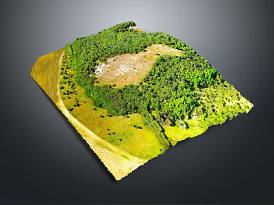 Garden Landscape Design With Lush Green Vegetation Open Space And Natural Layout 3d model