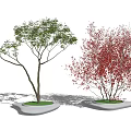 Modern Tree Landscape Tree 3d model