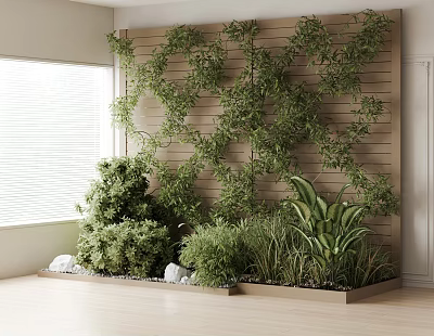 Indoor Bonsai and Potted Plants Display with Wooden Wall Climbing Vines and Bright Light 3d model