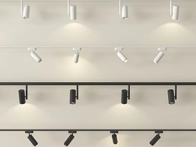 Modern White And Black Track Mounted Downlights And Spotlights For Interior Lighting 3d model