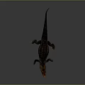 Modern Crocodile Alligator Nile Crocodile carnivore 3d model