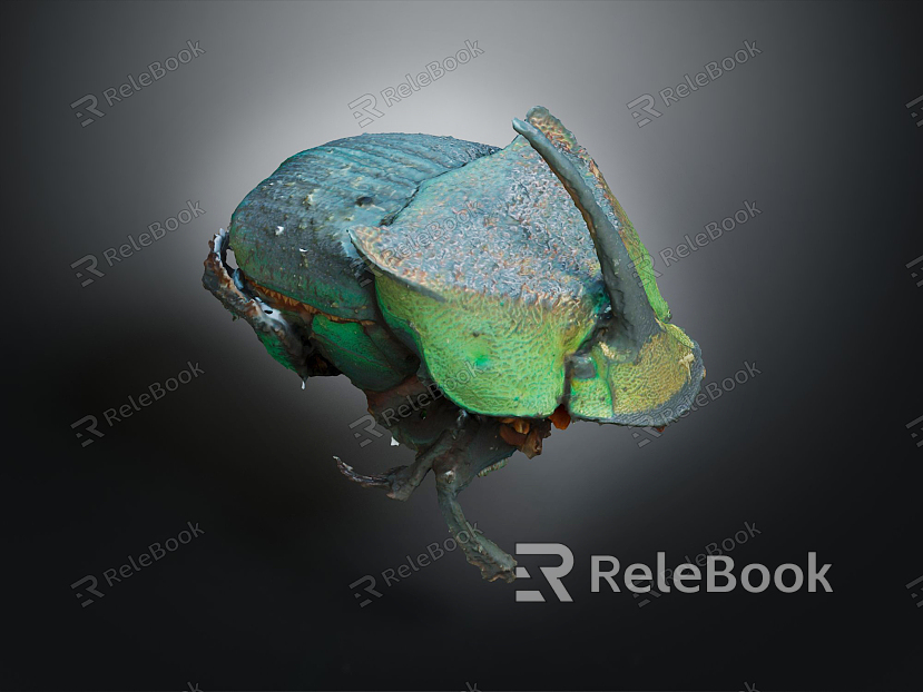 Modern Beetle Rainbow Scarabs Beetle model