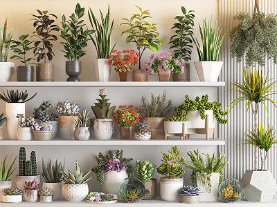 Bonsai Potted Plants Display On Multi Layered Shelves With Decorative Greenery And Colorful Blooms 3d model