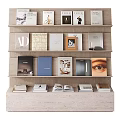 Stylish Books And Magazines Display On Shelves 3d model
