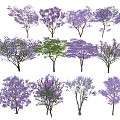 Collection of Different Flowering Trees With Purple And Green Foliage