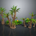 Multiple Palm Trees With Green Leaves And Brown Trunks Yellow Flowers In Decorative Arrangement