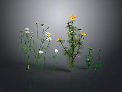 Diverse Garden Plants With White Yellow Flowers And Green Stems Leaves 3d model
