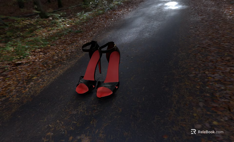 Road Pavement Covered With Fallen Leaves And Black High Heels Red Soles 3d model 