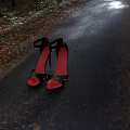 Road Pavement Covered With Fallen Leaves And Black High Heels Red Soles