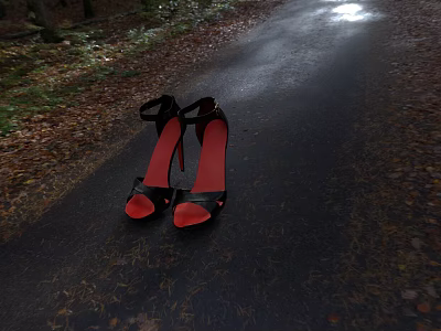 Road Pavement Covered With Fallen Leaves And Black High Heels Red Soles 3d model