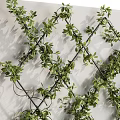 Greenery Wall With Lush Plants On Grid Against White Wall 3d model