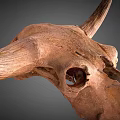 Detailed Bovine Skull With Natural Bone Texture And Horns Close Up View