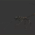 Metallic Mantis Sculpture With Long Legs And Antennae On Dark Background