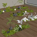 Lush Plant Arrangement With Green Moss Stones Round Lights Ferns On Wooden Floor Near Window