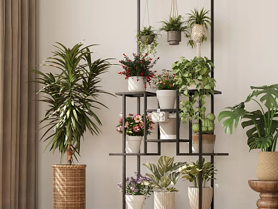 Indoor Plant Shelf Display With Hanging And Potted Greenery In Decorative Pots 3d model