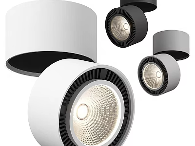 Sleek Modern Downlights and Spotlights with White Black Gray Finishes and LED Lighting 3d model