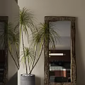 Rustic Wooden Frame Mirrors With Potted Plants In Modern Interior 3d model
