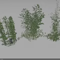 Various Green Bamboo Plants With Different Growth Forms Growing In Snowy Landscape