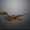 Detailed Brown Orange Spotted Lizard Standing On Shiny Dark Reflective Surface 3d model