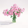 Transparent Glass Vase With Lush Pink Roses And Green Leaves On White Background