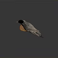Grey White Stuffed Bird With Yellow Beak Black Head On Wooden Base Dark Background