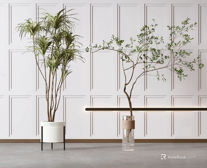 Bonsai Potted Plants Lush Palm-like Plant in White Pot and Slender Tree in Glass Vase 3d model 