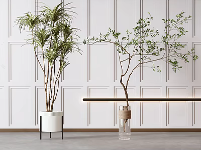 Bonsai Potted Plants Lush Palm-like Plant in White Pot and Slender Tree in Glass Vase 3d model