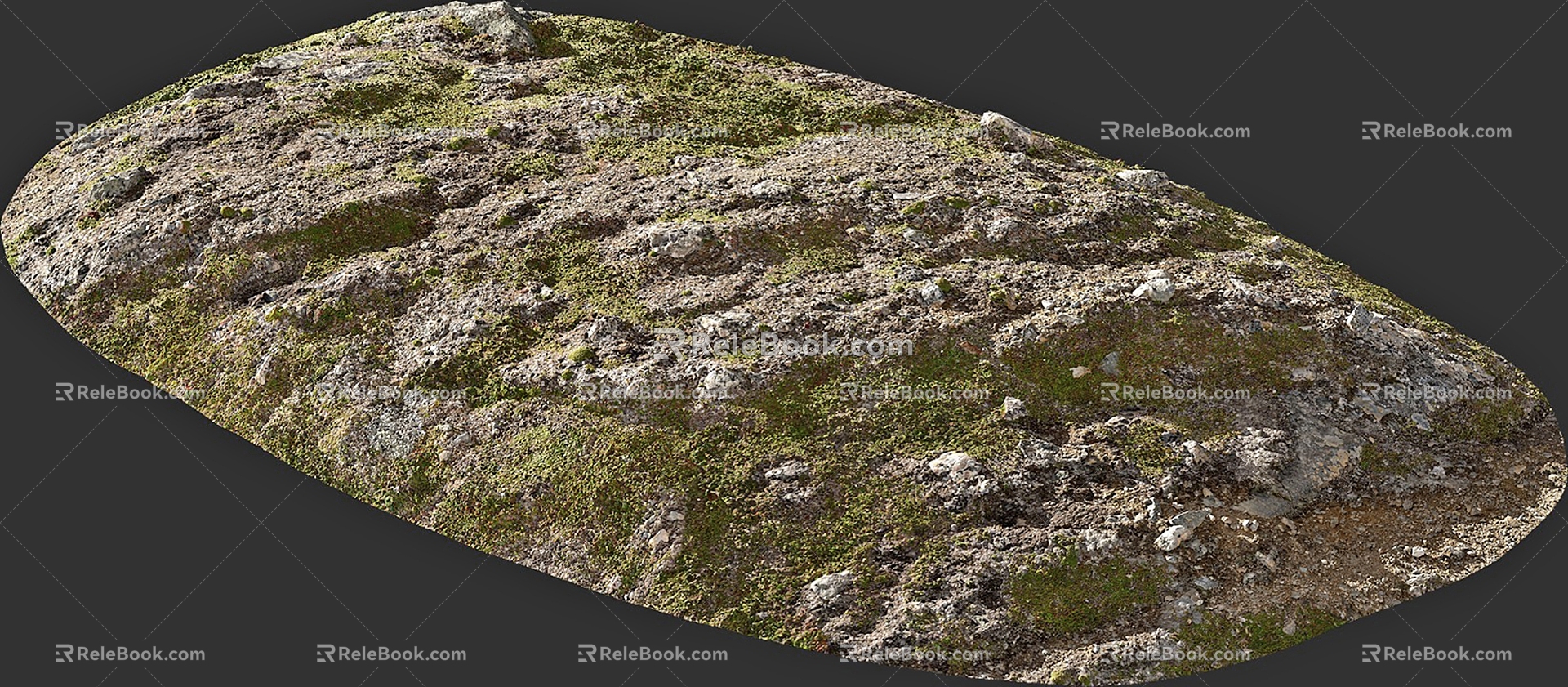 Modern Moss Stone Moss 3d model