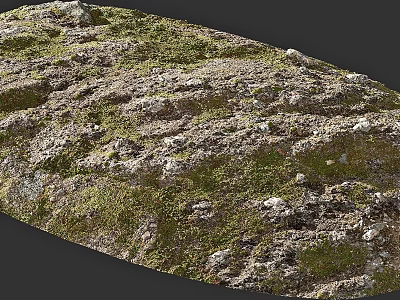 Small Green Plants Growing on Rough Rock Surface with Natural Texture 3d model