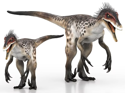 Realistic 3D Render Of Feathered Velociraptors Large And Small In Dynamic Standing Posture 3d model