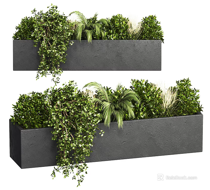Potted Plants in Black Rectangular Concrete Planters with Hanging Vines Palm Leaves and Green Shrubs 3d model 