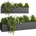 Potted Plants in Black Rectangular Concrete Planters with Hanging Vines Palm Leaves and Green Shrubs