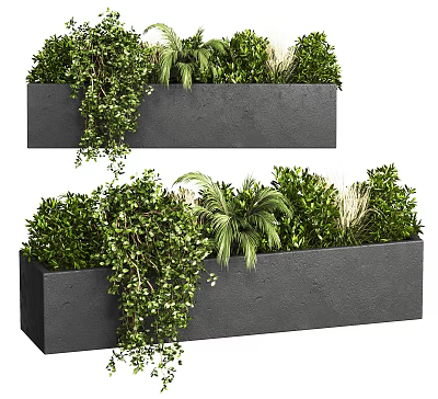 Potted Plants in Black Rectangular Concrete Planters with Hanging Vines Palm Leaves and Green Shrubs 3d model