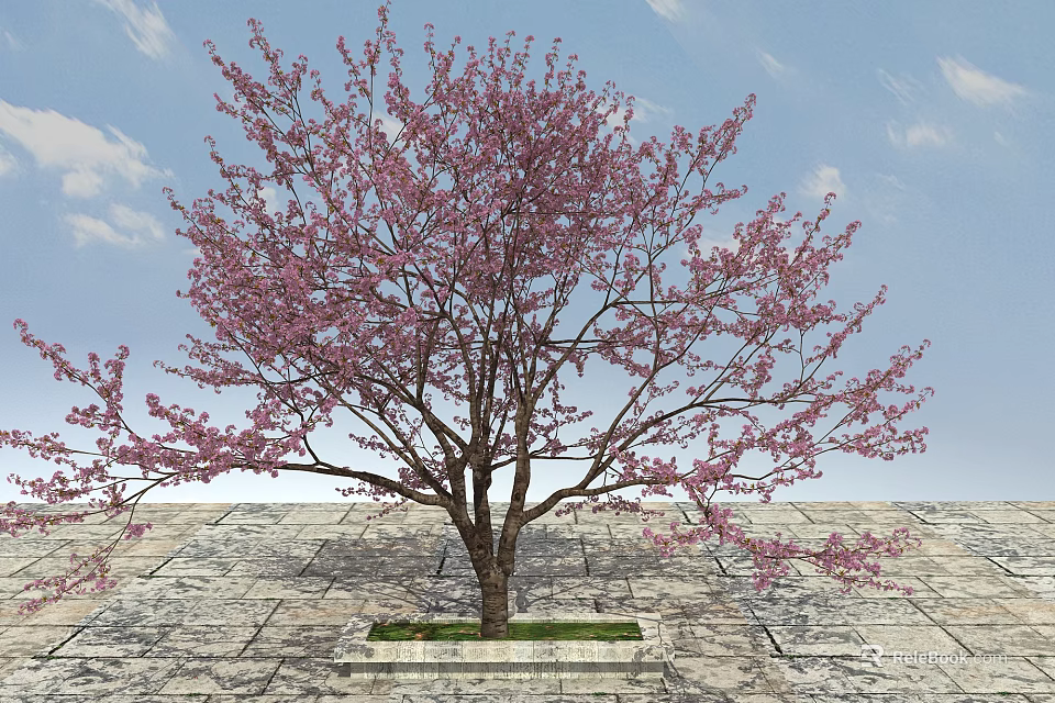Tree Pit Featuring Blossoming Tree with Pink Flowers on Stone Pavement Under Blue Sky 3d model