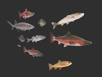 Vibrant Aquatic Animals Featuring Different Fish Species And Marine Life 3d model