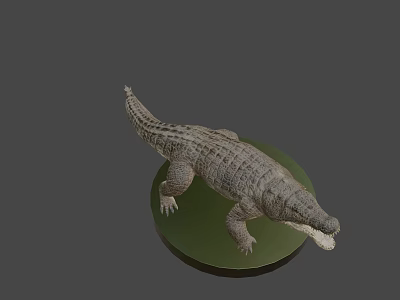 Game Movie Character Crocodile 3D Model With Green Base And Gray Background 3d model
