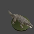 Game Movie Character Crocodile 3D Model With Green Base And Gray Background