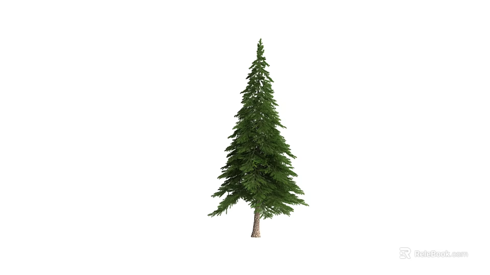 Tall Green Pine Tree Evergreen Plant Combination With Lush Foliage And Natural Trunk 3d model 